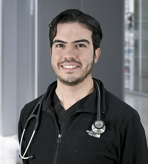 Directorio de médicos de Hospital Angeles Health System