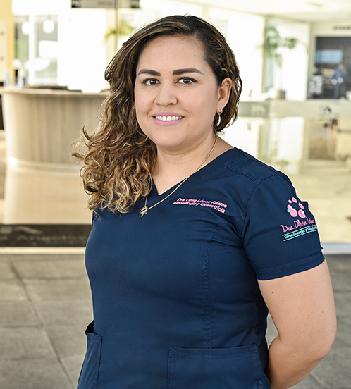 Es la foto de perfil de una ginecóloga y obstetra en Ciudad de México de Hospital Angeles Acoxpa.